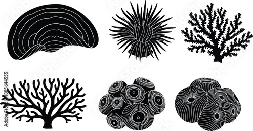 Coral reef and sea anemone silhouettes, marine underwater plants, ocean nature elements, black vector illustration set, isolated on white background