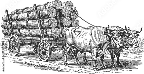 Oxen pulling wooden cart loaded with logs, traditional farming transportation scene