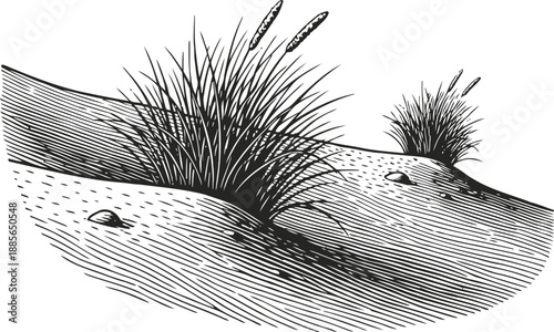Black and white grass clumps on uneven ground hand drawn natural landscape with textured soil and sparse vegetation