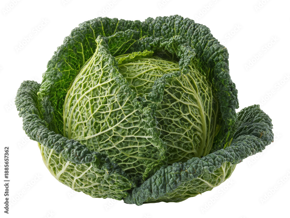Fototapeta premium Close-up view of a vibrant green cabbage with its intricate textured leaves. The cabbage sits in its entirety. Isolated Transparent Background, PNG