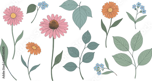 Hand drawn wildflower illustration set with blooming flowers, leaves, and botanical stems in soft natural colors for elegant flat vector floral designs