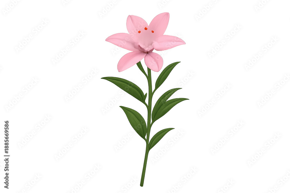Fototapeta premium Pink lily flower with green stem and leaves