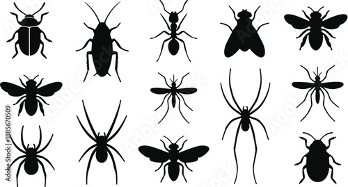 Comprehensive black silhouette collection of various common insects and pests featuring ants, beetles, spiders, flies, bees, mosquitoes, and cockroaches on a white background.