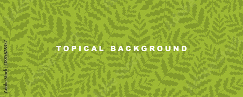 Tropical botanical background with layered fern leaves, natural green texture, main visual