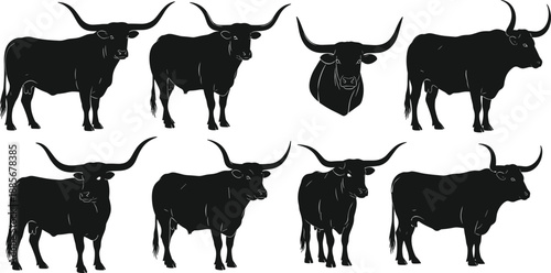 Collection of Texas Longhorn Cattle Silhouettes and Bull Heads, Featuring Large Horns and Different Standing Poses, Representing Ranching, Western Heritage, and Livestock Farming Icons.