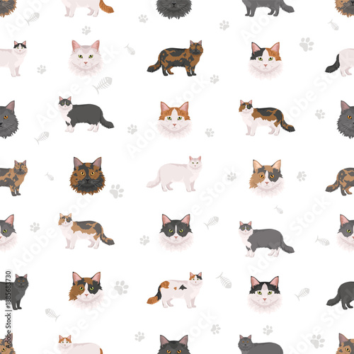 Domestic longhair Cat clipart. All coat colors set. Vector illustration