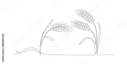 Abstract Wheat Grain Continuous Line Art Drawing Vector Illustration for Farming, Harvest and Eco Food Design.