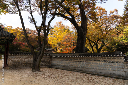 Wallpaper Mural Autumn at Changdeokgung Palace in Seoul Torontodigital.ca