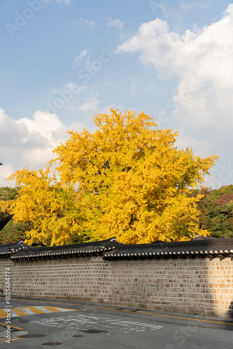 Wallpaper Mural Autumn in Changdeokgung Palace in Seoul Torontodigital.ca