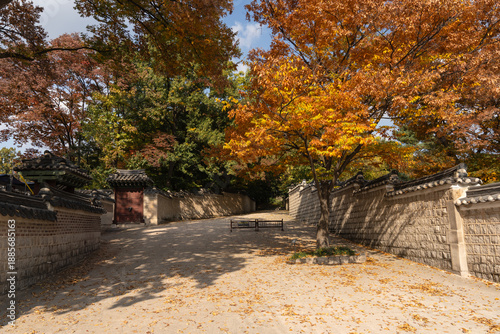 Wallpaper Mural Autumn in Changdeokgung Palace in Seoul Torontodigital.ca