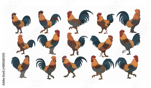 Rooster cock collection vector illustration farm poultry birds isolated on white