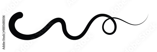 Swoosh line vector, underline swish, stroke swash swirl, curly hand drawn text calligraphic brush tail, black fireworks icon set isolated on white background. doodle decorative illustration in eps 10 