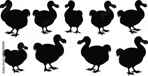 Black Dodo Bird Silhouettes Set with Extinct Flightless Bird Profiles Standing and Walking Poses Isolated on White Background for Wildlife Animal Vector Graphic Design