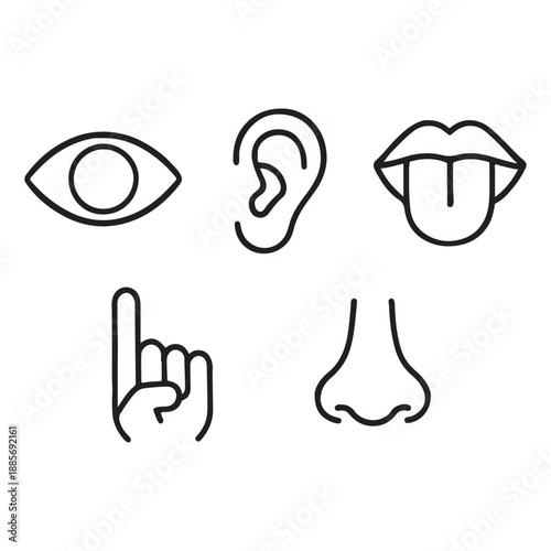 Five human senses vector illustration