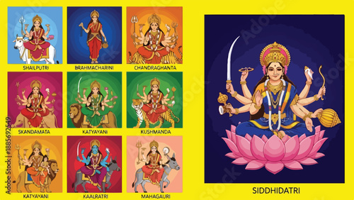 Navadurga goddesses vector illustration set with Siddhidatri on lotus, Hindu deities, religious festival, spiritual artwork