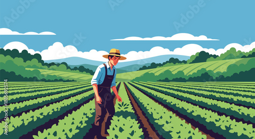 Vector illustration of a USA farmer inspecting crops in neat rows, reflecting careful crop management and sustainable agriculture in a modern rural flat vector scene
