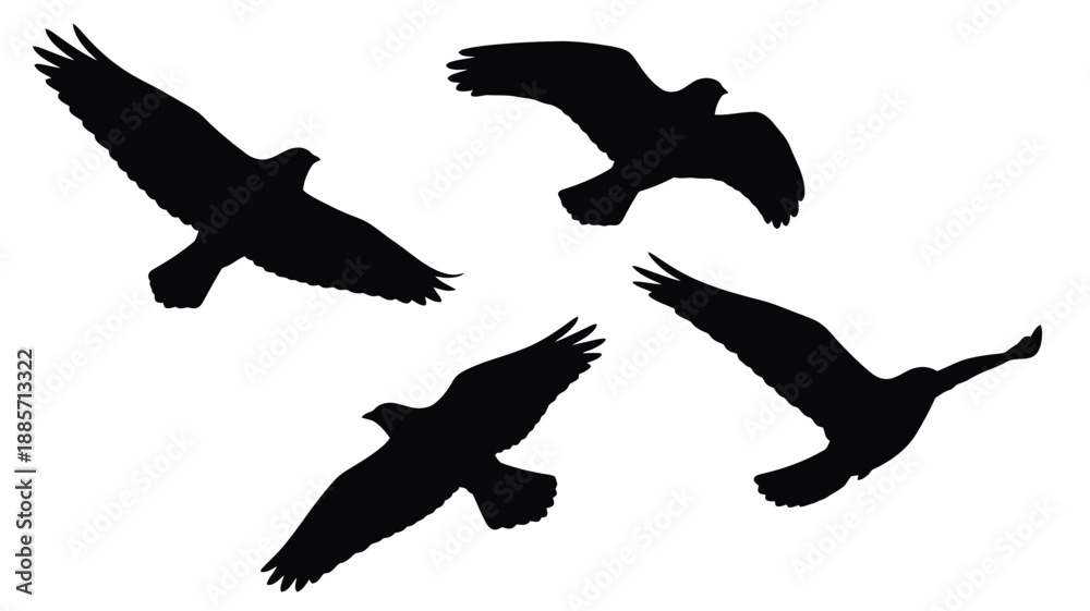 Obraz premium Soaring birds in flight a captivating black shape silhouette