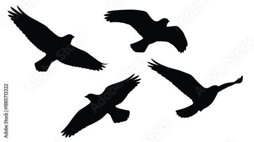Soaring birds in flight a captivating black shape silhouette
