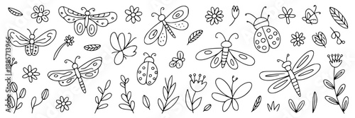 A series of hand‑drawn doodles on white paper showing a hedgehog, a dolphin, a flower with smiling face and a boat, all in playful, simple line style.