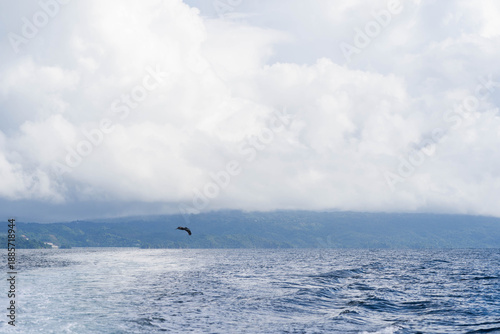 Viaje en barco hacia Cayo Levantado en la bahía de Samaná, República Dominicana