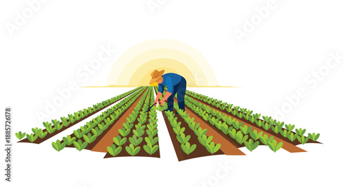 This industrious illustration depicts a farmer diligently working amidst long rows of green crops in a field, bathed in the warm, golden light of a setting sun.