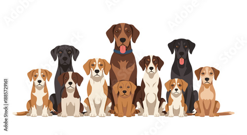 Charming collection of various dog breeds, featuring both energetic puppies and dignified adult dogs, highlighting the unique characteristics and beauty of each canine.