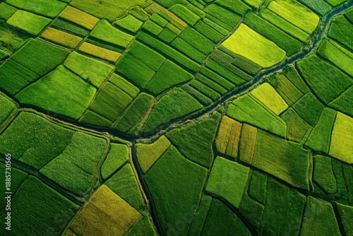 Fotografie Aerial View of Lush Green Agricultural Fields Divided by a Winding River