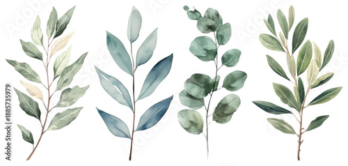 PNG Elegant watercolor botanical leaf illustrations, transparent background