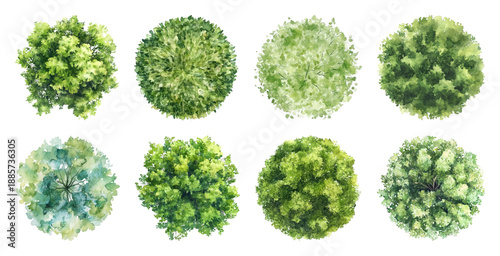 PNG Watercolor top view trees illustration, transparent background