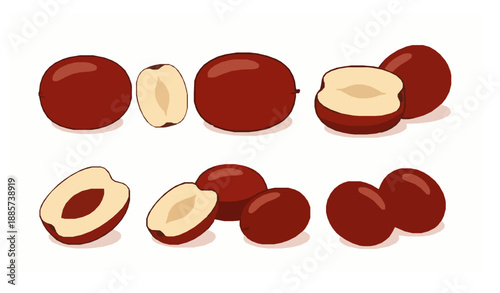 Tableau sur toile Jujube fruit collection vector illustration realistic flat red dates isolated on