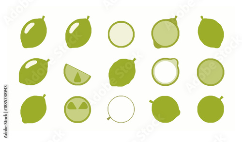 Minimal flat etrog fruit icon set vector illustration isolated