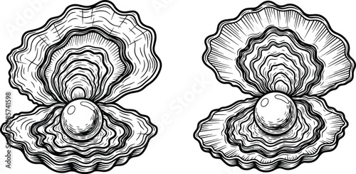 Oyster shell with pearl sketch, detailed black and white marine treasure illustration for nature and jewelry themes - flat vector illustration