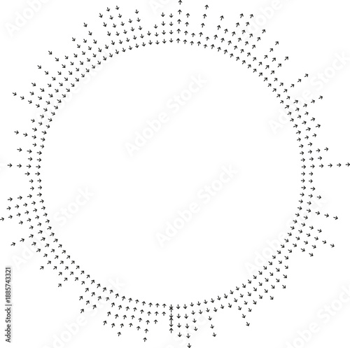 Irregular rays bend around large empty central area.