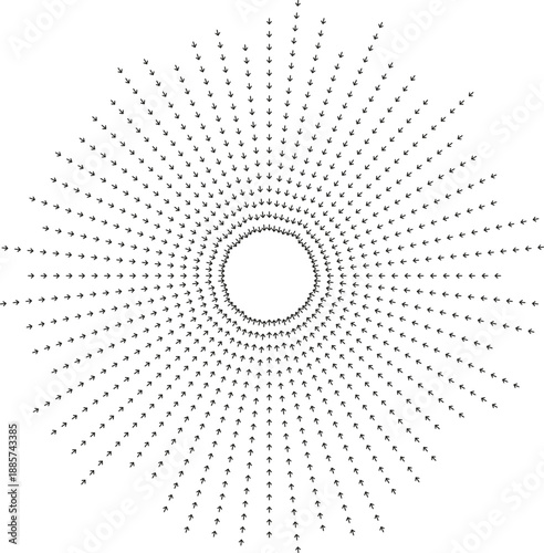 Irregular rays arranged to form flowing circular pattern.