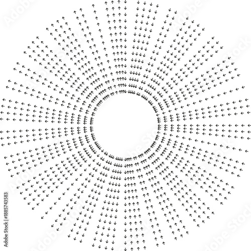 Very long rays radiate outward from empty central space.