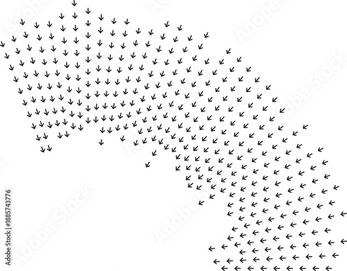 Irregular rays fill quarter of circumference forming curved flow.