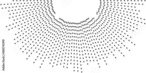 Semi-circular long irregular rays form flowing pattern.