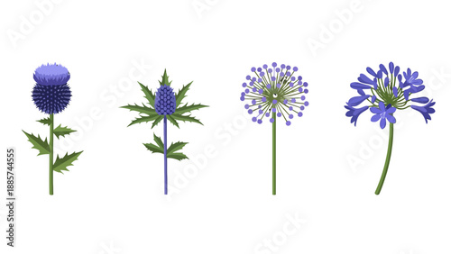 Diverse purple and blue flowers with green stems featuring spiky thistle spherical allium and trumpetshaped agapanthus blooms flat graphic style.