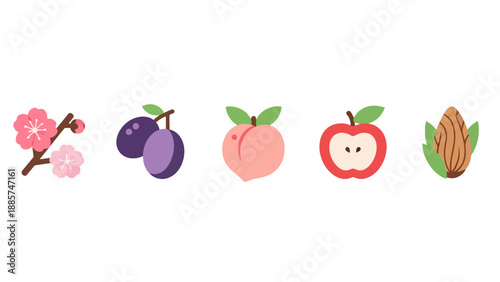 Vibrant flat vector icons pink cherry blossom purple plums ripe peach red apple half and textured almond.
