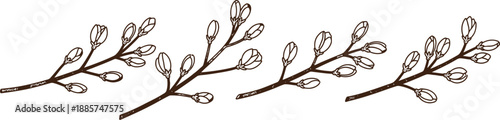 A black and white illustration of three willow branches with buds