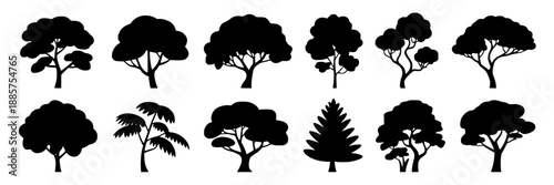 A grid of twelve different black silhouette tree illustrations on a plain white background, showing various tree shapes and profiles.