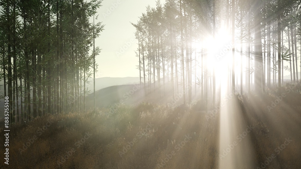 Fototapeta premium Golden rays of sunlight penetrate through towering bamboo trees in a tranquil forest. The scene captures the serene beauty of nature at dawn, with mist softly rising from the ground.