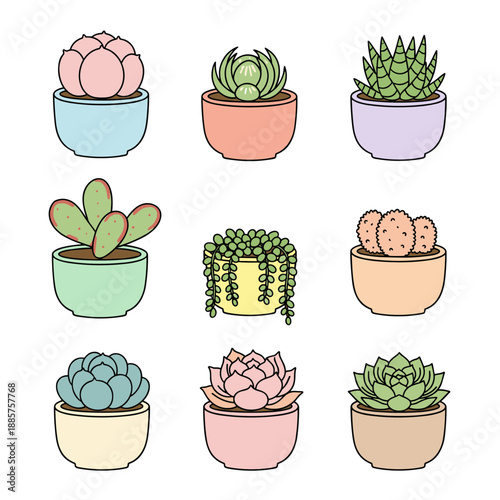 Collection of cute succulent plants in colorful ceramic pots isolated on white background flat vector illustration set of diverse cacti and desert greenery for home decor and indoor gardening