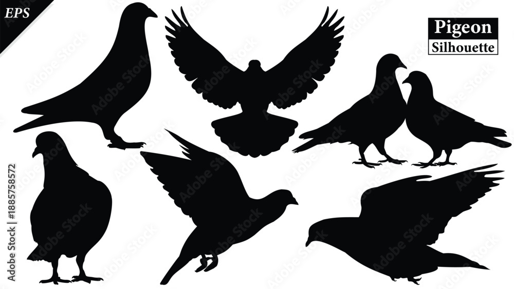 Αυτοκόλλητο Set of pigeons silhouette isolated on white background, Beautiful pigeon logo icon vector design, standing, pigeons silhouette vector illustration, vector