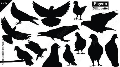 Set of pigeons silhouette isolated on white background, Beautiful pigeon logo icon vector design, standing, pigeons silhouette vector illustration, vector. Black pigeon Silhouette logo, bird icon