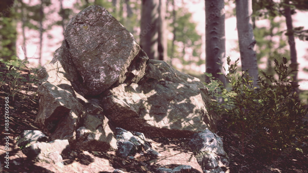 Obraz premium A large stone rests quietly on the forest floor, surrounded by lush greenery and scattered pebbles.