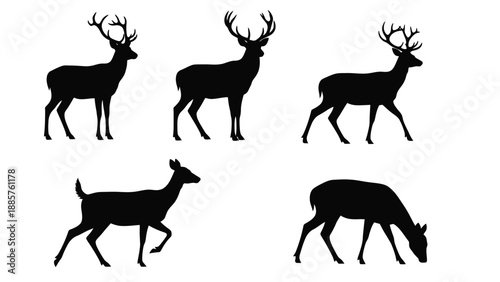 Black silhouettes of deer in various poses wildlife illustration silhouette