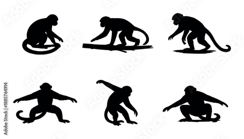 Silhouetted monkey poses on dark background in various dynamic movements