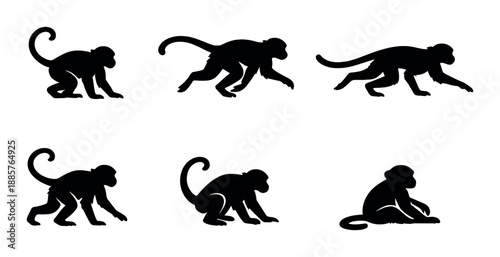 Silhouette set of monkeys in various poses on black background