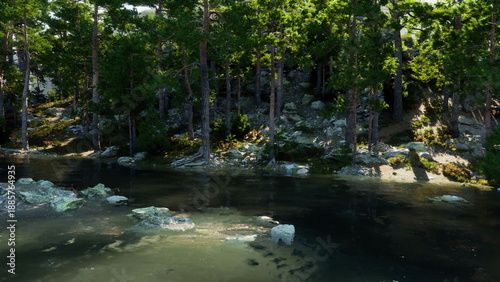 Tall green trees frame a tranquil body of water, revealing smooth stones beneath the surface. Sunlight filters through foliage, creating a peaceful atmosphere in natures embrace.
